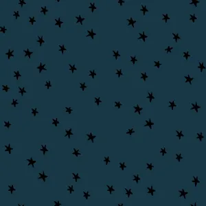 1/2 Yard - Starry Smoke- RS4109 45- Ruby Star Society - Alexia Abegg - Quilting Cotton - Starry Starry