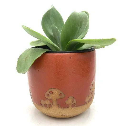 (20% Off) Planter - 4in Paprika Glazed Mushrooms by Ruby Farms Pottery