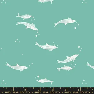 Dolphins - Florida Vol. 2 by Sarah Watts for Ruby Star Society, Water