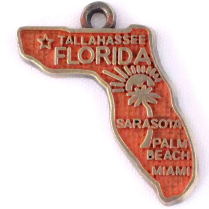 Florida State Charm Bracelet, Necklace, or Charm Only