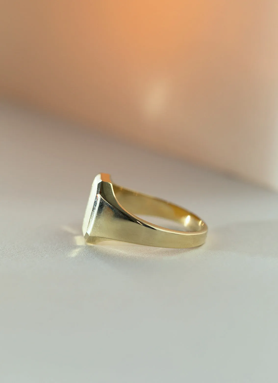 The gent woody signet ring 14k gold