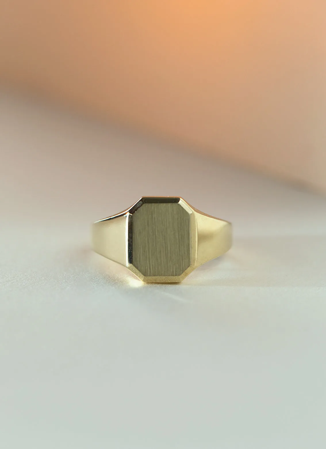 The gent woody signet ring 14k gold