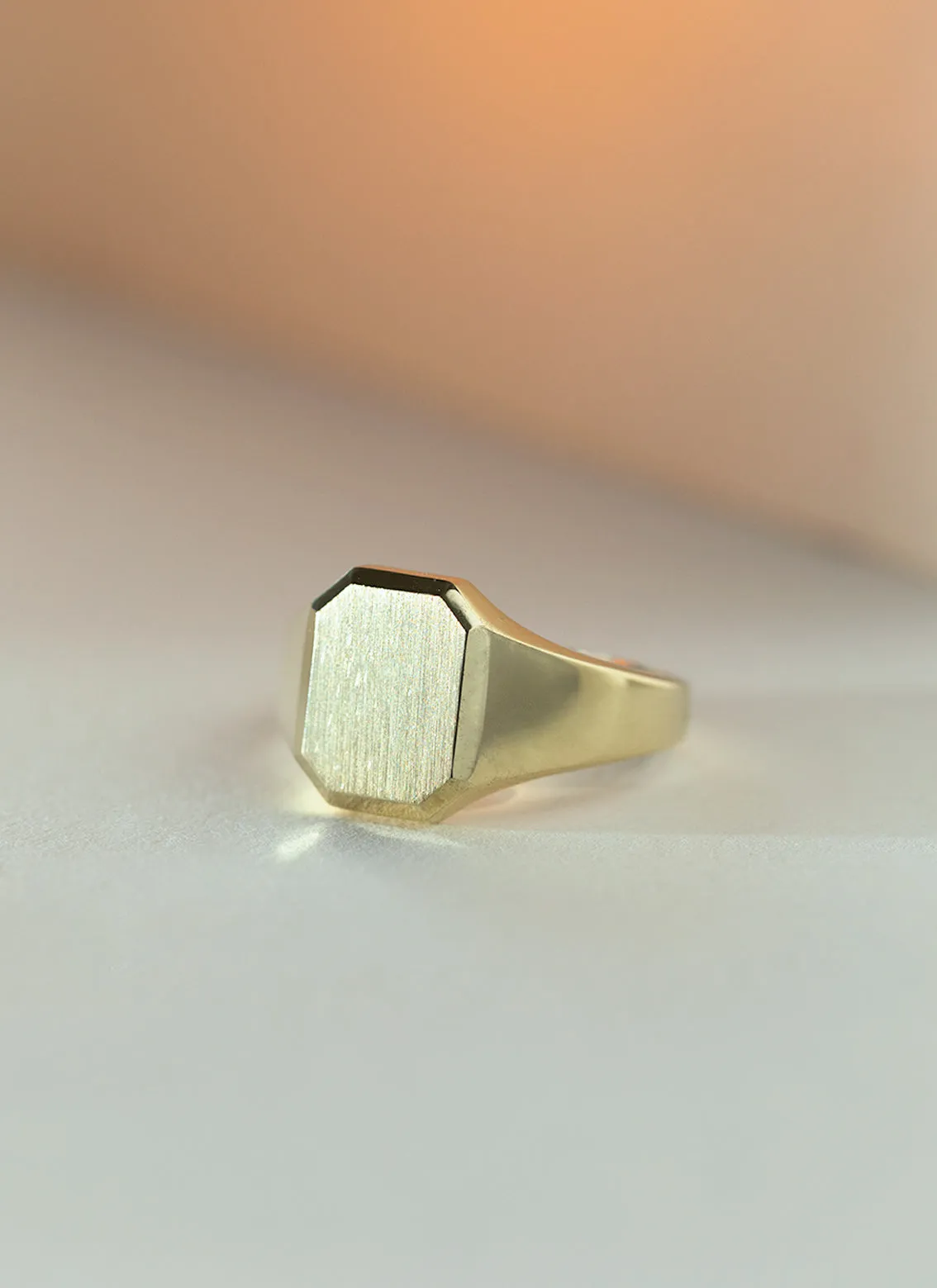 The gent woody signet ring 14k gold