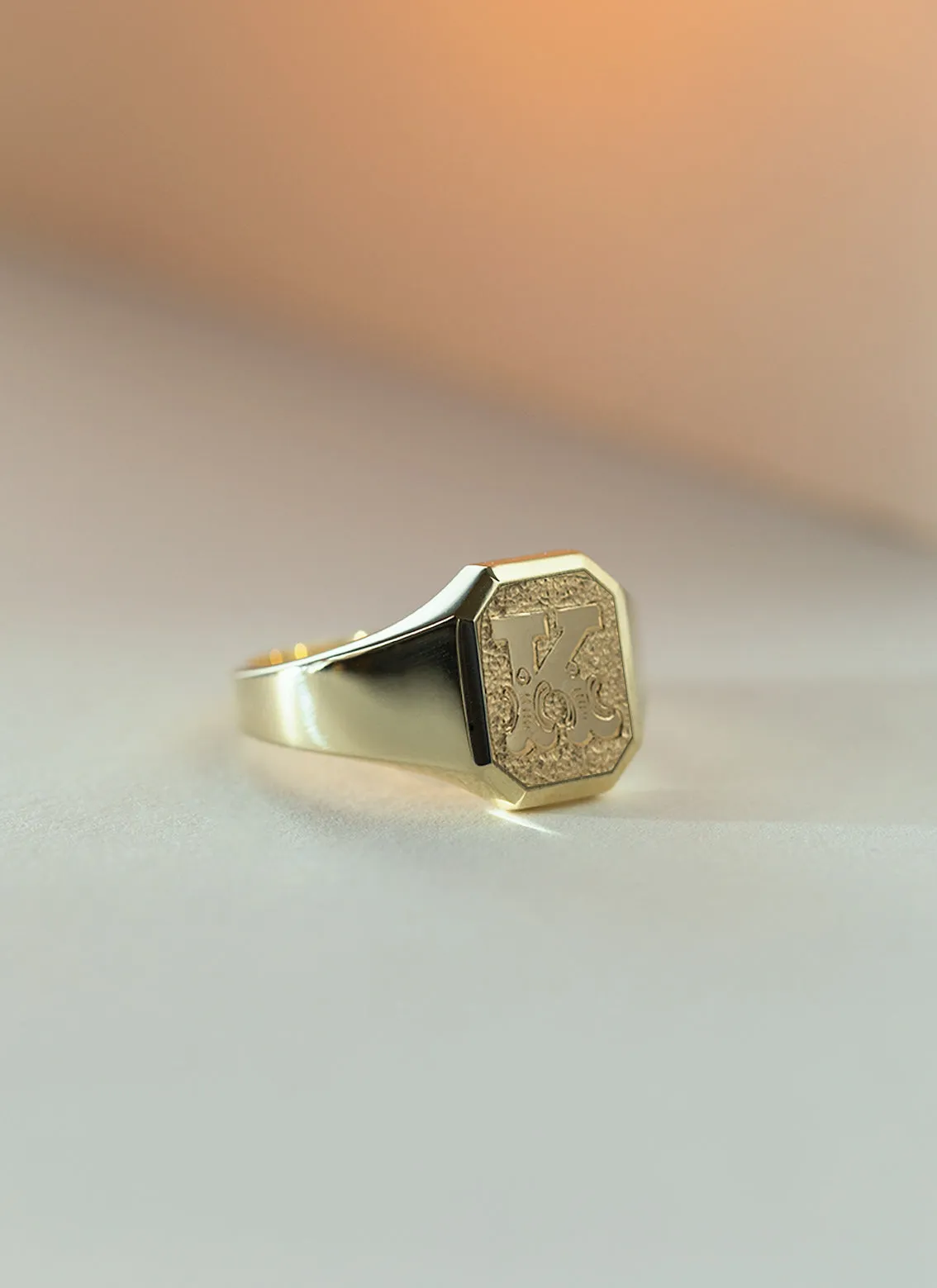 The gent woody signet ring 14k gold